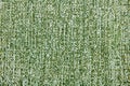 Green upholstery material texture background