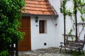 Close-up of green vegetation with a cozy small rural white house with a wooden front door at the background and a bench on the