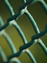 A close-up of a green wire fence Royalty Free Stock Photo