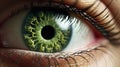 Close up of a green woman eye. Royalty Free Stock Photo