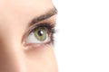 Close up of a green woman eye Royalty Free Stock Photo