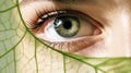 Close up of a green woman eye with green leaf Royalty Free Stock Photo