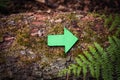 Close up green wooden arrow pointing the direction of the footpath or trail attached to an old tree with moss and fern around. Royalty Free Stock Photo
