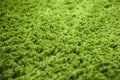 Close up of green yarn carpet for background Royalty Free Stock Photo