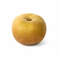 Close-up of a grey canada apple Royalty Free Stock Photo