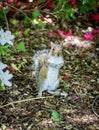 Gray squirrel standing on hind legs Royalty Free Stock Photo