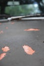 Close-up a grey old car bonnet with crack and scratch colour skin. Royalty Free Stock Photo