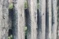 Close up of grey wooden fence panels Royalty Free Stock Photo