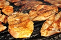 Close up of a grilled chicken breast Royalty Free Stock Photo