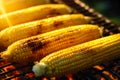 Close up of grilled corn on barbecue grill. Grilling food concept.