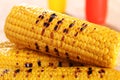 Grilled corn cob Royalty Free Stock Photo