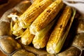 Close-up grilled corn. Festive holiday american food for celebrating Happy Thanksgiving day Royalty Free Stock Photo