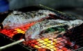 Close up grilled fresh fishs with salt. Royalty Free Stock Photo