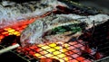 Close up grilled fresh fishs with salt, Delicious fresh fish at countryside in holiday, healthy food. Royalty Free Stock Photo