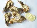 Grilled moreton bay bugs