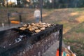 Close-up of grilled mushrooms champions in bbq grill net with hot coal underneath. Grilling cooking food outdoors in