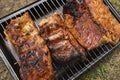 Close Up Grilled Rack Of Pork Ribs. Meat Barbecue In Camping Park, Forest. Meat On Metal Royalty Free Stock Photo