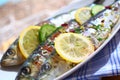 Close-up of grilled sardines on a platter outdoors Royalty Free Stock Photo