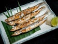 Close-up grilled shishamo fish on banana leaf on white rectangle plate on dark background.