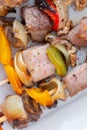 Close up on the grilled skewers of meat and vegetables on a white ceramic plate Royalty Free Stock Photo