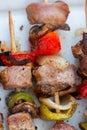 Close up on the grilled skewers of meat and vegetables on a white ceramic plate Royalty Free Stock Photo