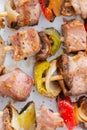 Close up on the grilled skewers of meat and vegetables on a white ceramic plate Royalty Free Stock Photo