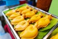 Close up of Grilled squid sea food thai street food market