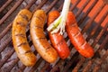 Close up of grilling sausages on barbecue grill with a long white onion. BBQ in the garden. Bavarian sausages Royalty Free Stock Photo