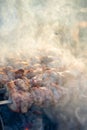 Close-up of grilling tasty dish on barbecue. Process of cooking yummy shashlik in nature. Delicious food on metal skewer Royalty Free Stock Photo