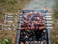 Close-up of grilling tasty dish on barbecue. Time to picnic concept.