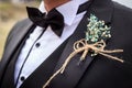 Close-up groom in tuxedo with boutonniere Royalty Free Stock Photo