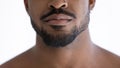 Close up of groomed beard of mixed race African guy with nose piercing