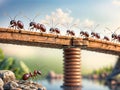 Close up of group of ant on the ground, nature background. Team work concept