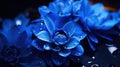 A close up of a group of blue flowers with water droplets, AI