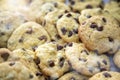 Close up of group of chocolate chip cookies