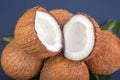 A close-up of a group of coconuts. Beautiful coconuts on a blue background. Healthful hawaiian coconuts. Nutritious fruits.