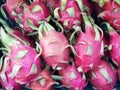 Close up group of dragon fruit fruit,stacked dragon fruit background Royalty Free Stock Photo