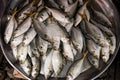 Close up group of fish arrangement on tray in fish market of Ban