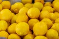 Close Up of a Group of Fresh Lemons at the Italian Market Royalty Free Stock Photo