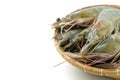 Close up group of fresh raw pacific white shrimp in bamboo bowl on white background Isolated background Royalty Free Stock Photo