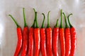 Close up of group of fresh red chillies, drying on kitchen towel, dish cloth after being washed. Top angle view