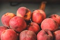 Close up of a group of fresh ripe peaches, background Royalty Free Stock Photo