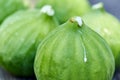 A close-up of a group of freshly picked vibrant green figs.