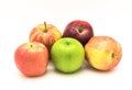 Close-up group of Granny Smith, Red Delicious, Gala, Fuji apples Royalty Free Stock Photo