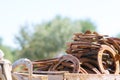 Close Up of a Group of Horsehoes in a Stable on Blur Background Royalty Free Stock Photo