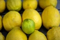 Close up of a Group of lemons with one lime on a wood table