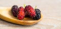 Close up group of mulberries is placed on a wooden spoon on a wooden table. Mulberry this a fruit and can be eaten it have a red a Royalty Free Stock Photo