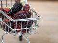 Close up group of mulberries in red shopping cart on wooden table. Mulberry this a fruit and can be eaten in have a red and purple Royalty Free Stock Photo