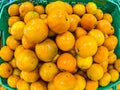 Close up of group of orange cultivated on the vegetable garden of home - buying fruits at the supermarket to do diet