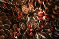 Close up of group of pine cones, with dried red berries.